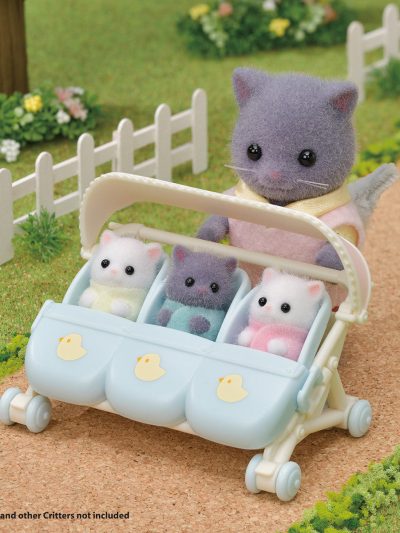 Persian Cat Triplets