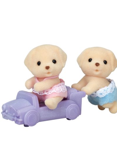 Yellow Labrador Twins